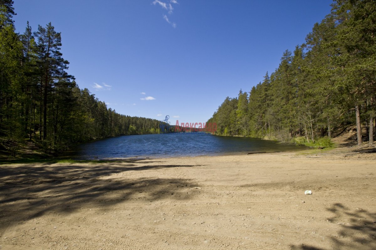 Ягодное озеро Ленинградская область