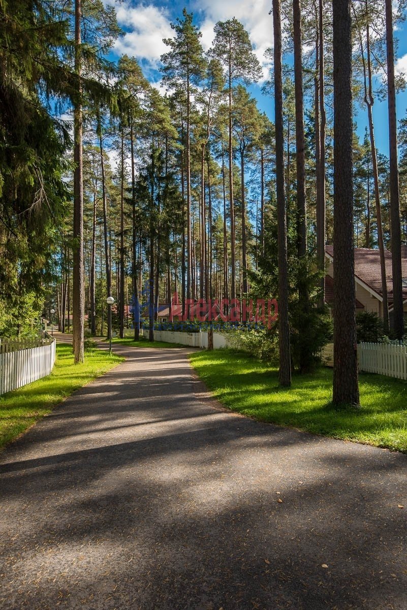 Поселок рощино. КП корабельные сосны Рощино. Рощино Выборгский район. Рощино поселок Выборгский. Корабельные сосны коттеджный поселок.