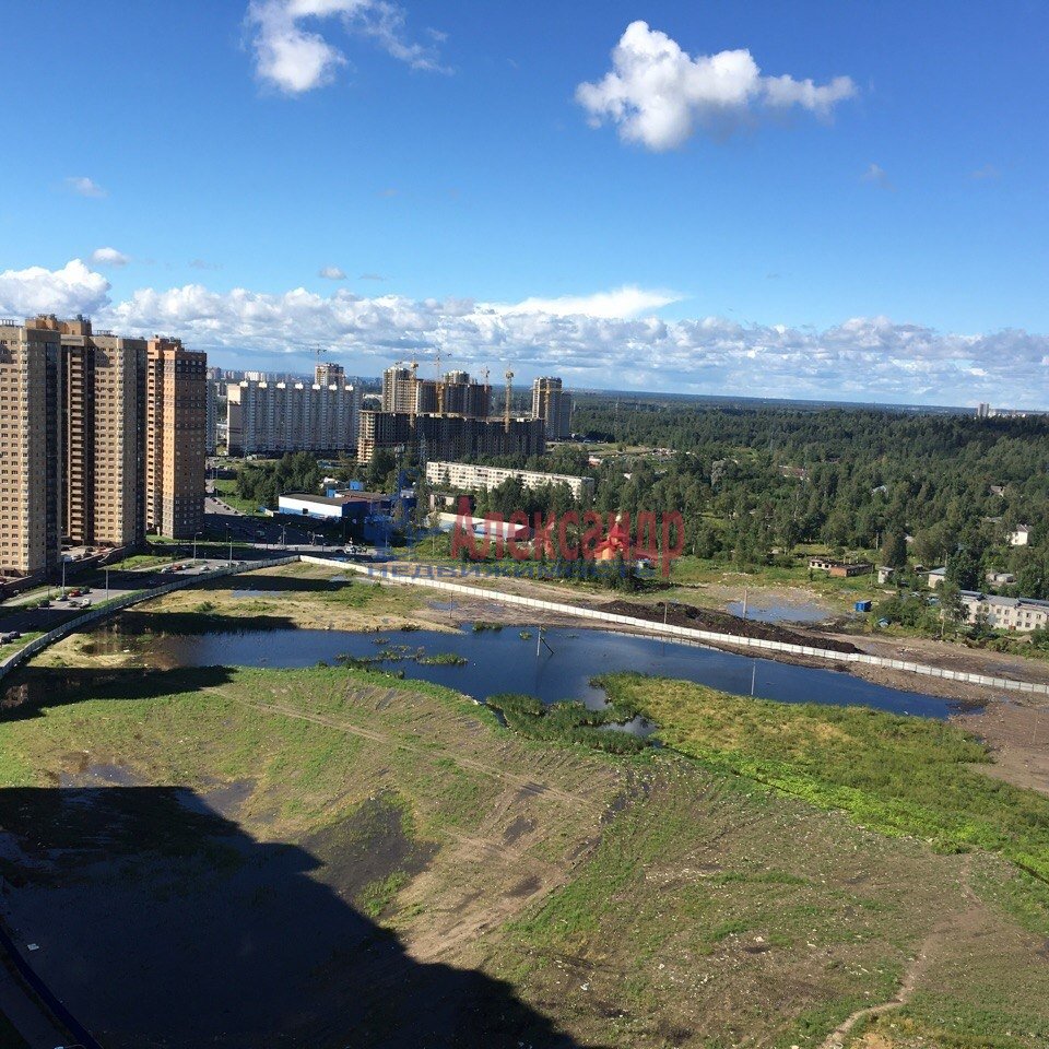 Фото в парголово спб