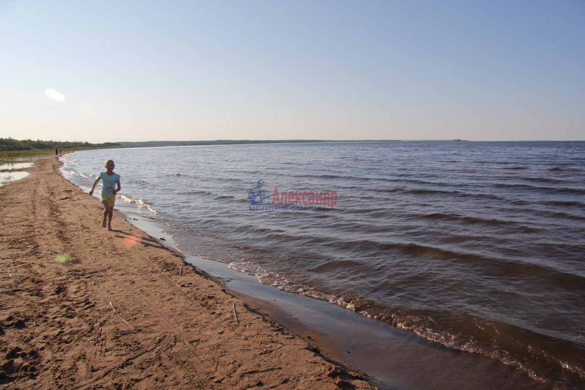 Запорожское погода сегодня. Посёлок Запорожское Ленинградская область пляж.