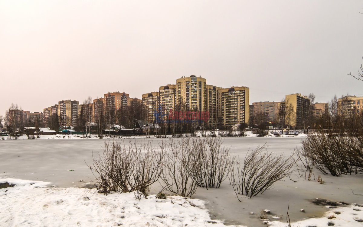 Девяткино ленинградская область. Деревня Девяткино. Деревня новое Девяткино. Озеро новое Девяткино 2000. Новое Девяткино зима.