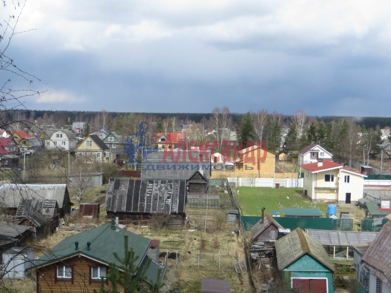 Семрино. Семрино Гатчинский. Семрино Ленинградская область. Гатчинский.район.поселок.Семрино. Пос Семрино Гатчинский район.