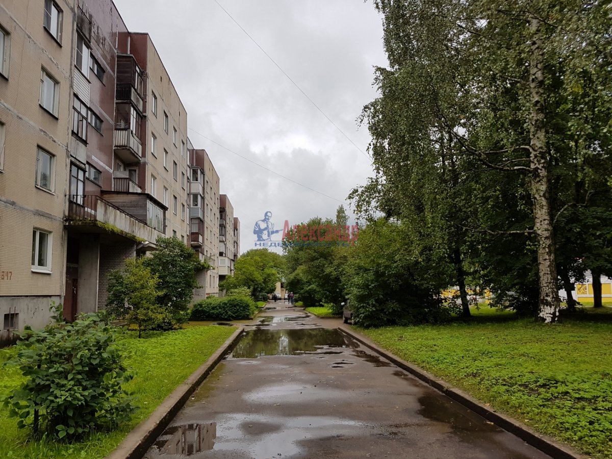 Всеволожский ленинградской купить квартиру