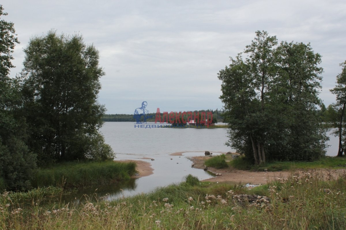 Купить Загородный дом 250 кв.м с участком 25 сот. в Выборгский район  Ленинградская область (№101497)