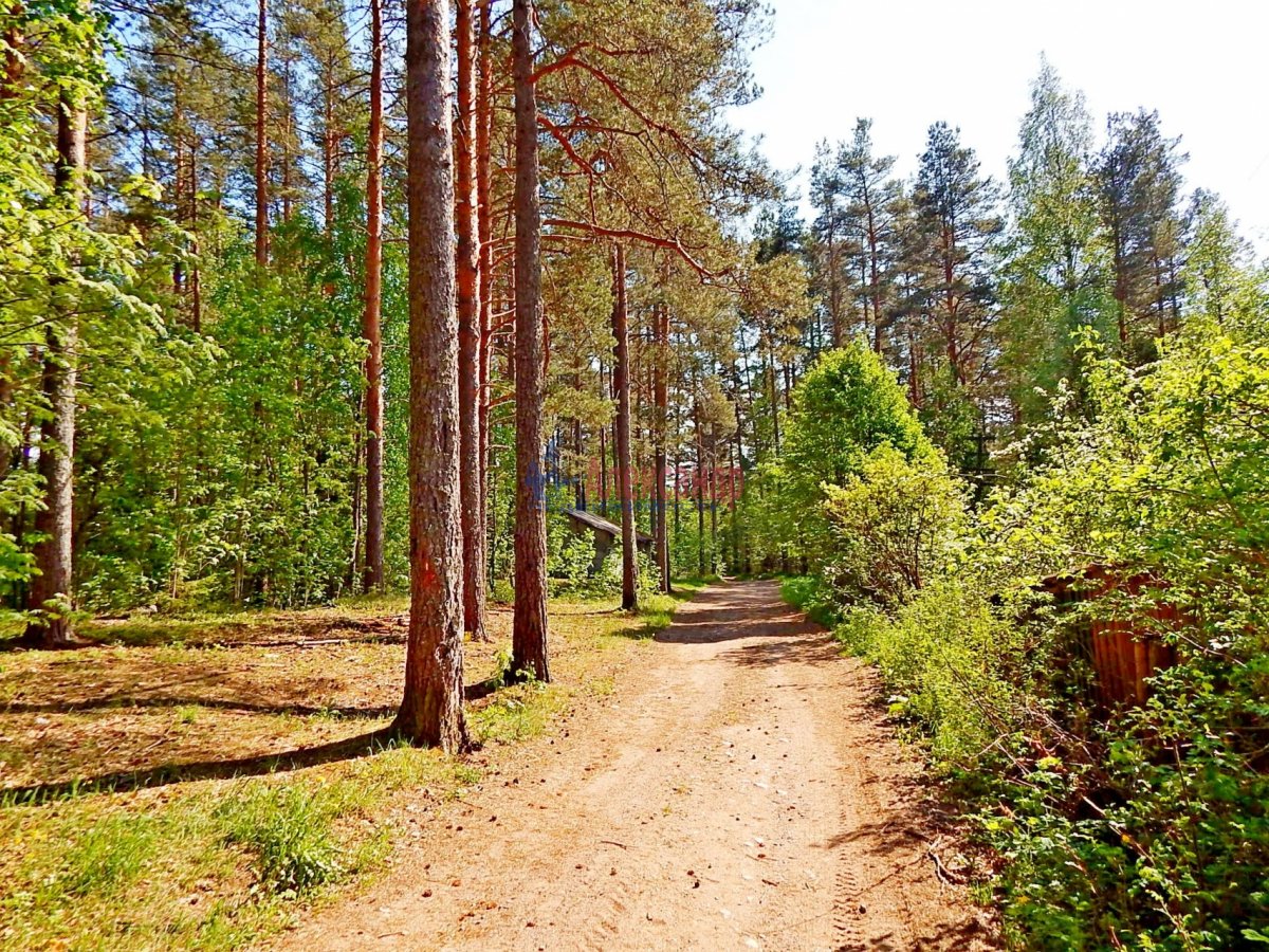 Поселок приозерский. Мельниково (Ленинградская область). Мельниково Приозерский район. Громово Приозерский район природа. Сосново Приозерский район природа.