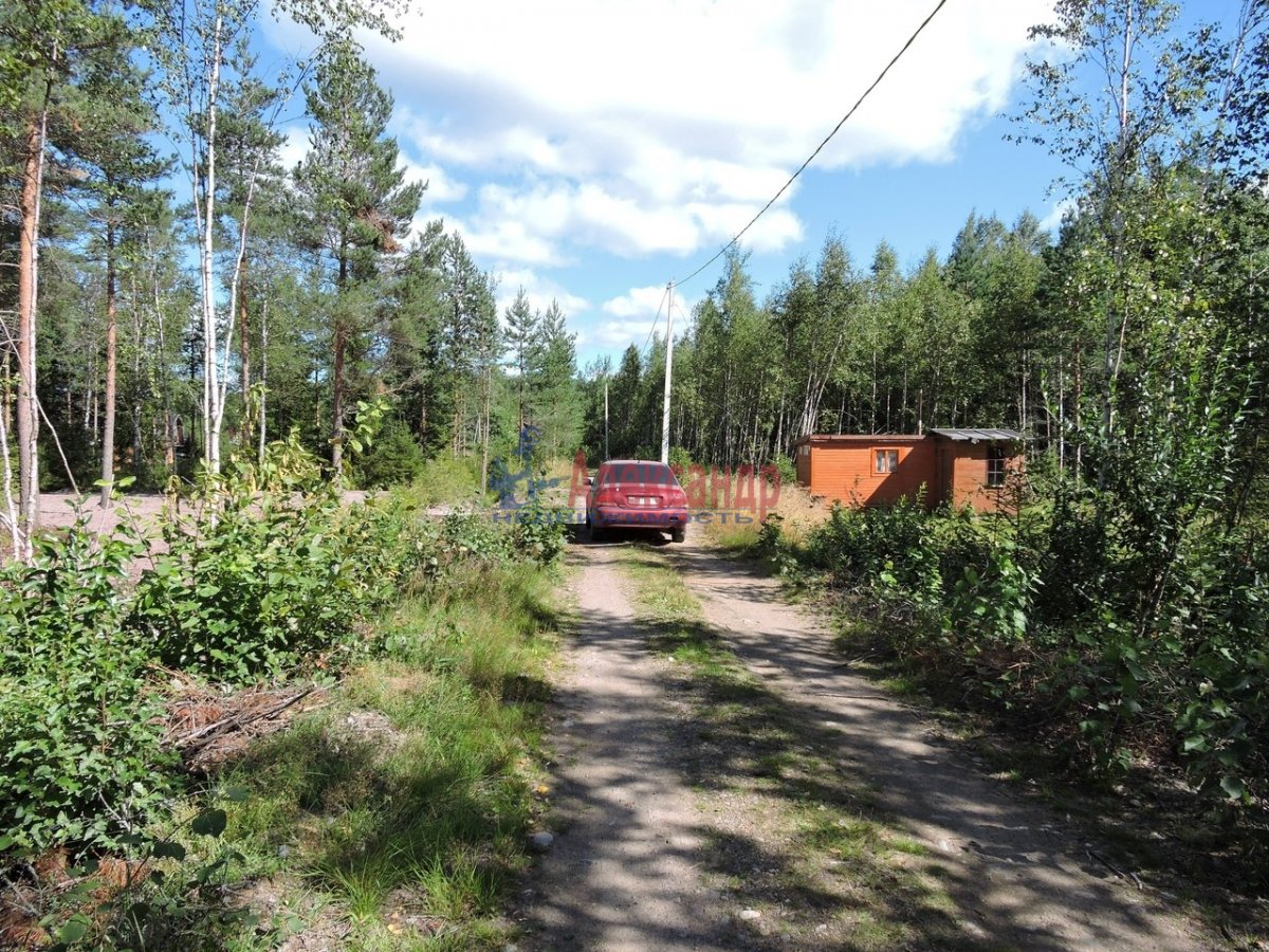 Прогноз гаврилово ленинградская область выборгский