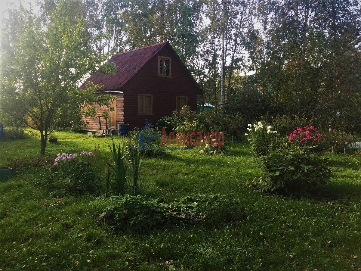 Снт Михайловское Барнаул Купить Дачу