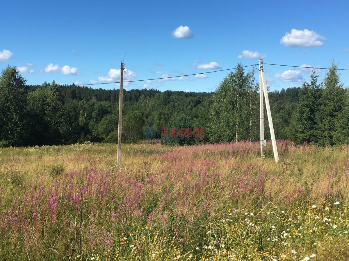 Купить Участок Район Сосново Ленинградской Области