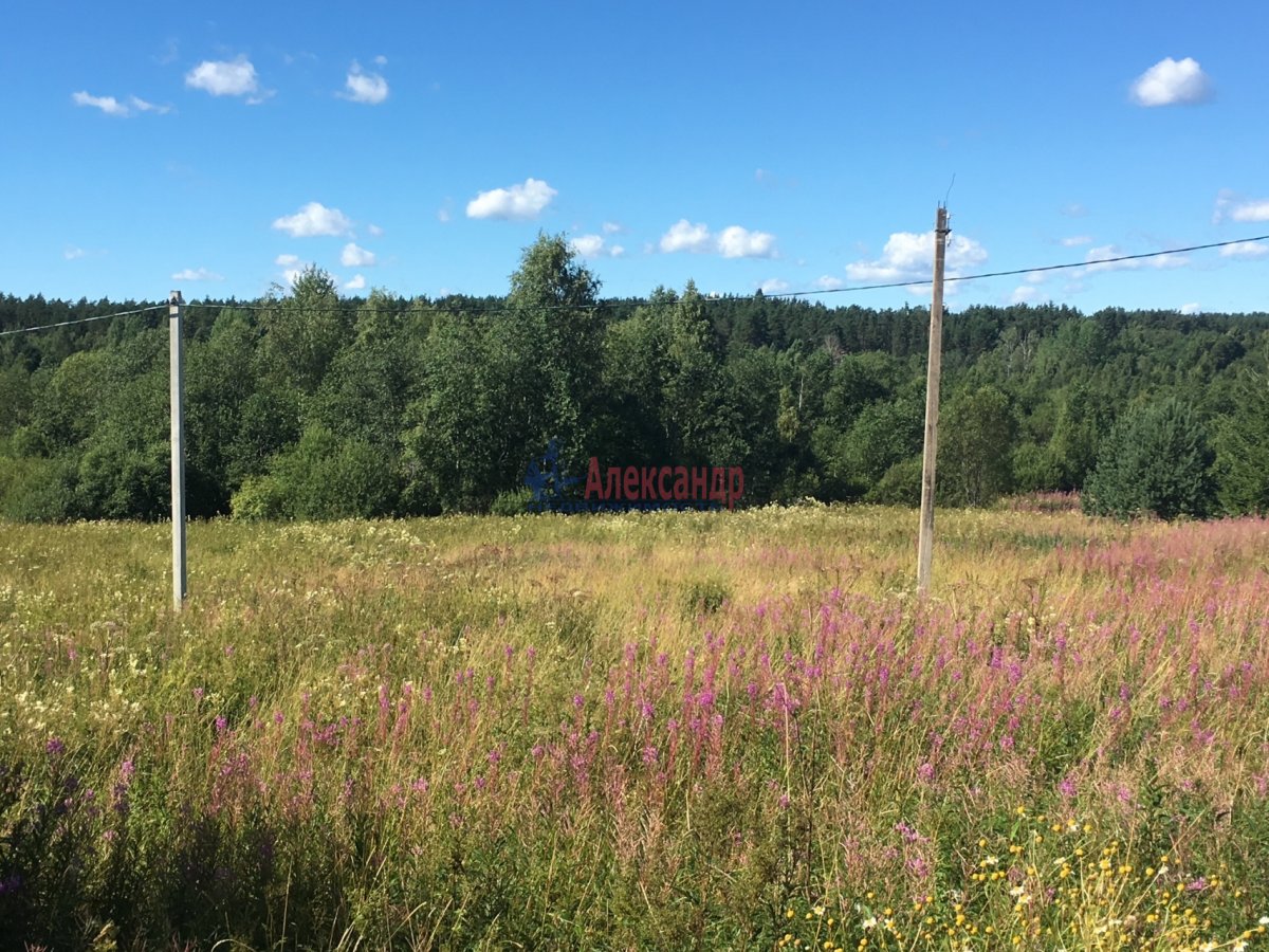 Погода березово приозерский. Земельные участки Приозерск.