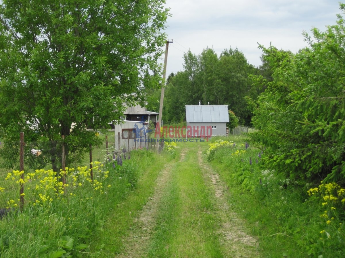 Деревня Верницы Волосовского района