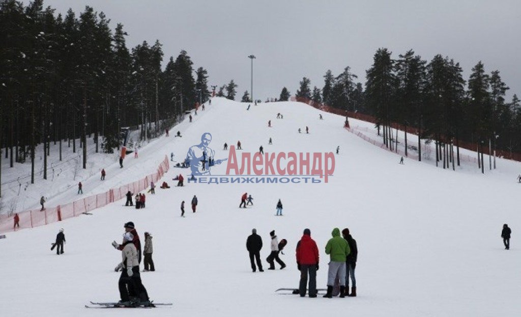 Пухтолова гора горнолыжный курорт. Пухтолова гора, Зеленогорск. Рощино Пухтолова гора. Горнолыжный курорт СПБ Пухтолова гора. Пухтолова гора каток.