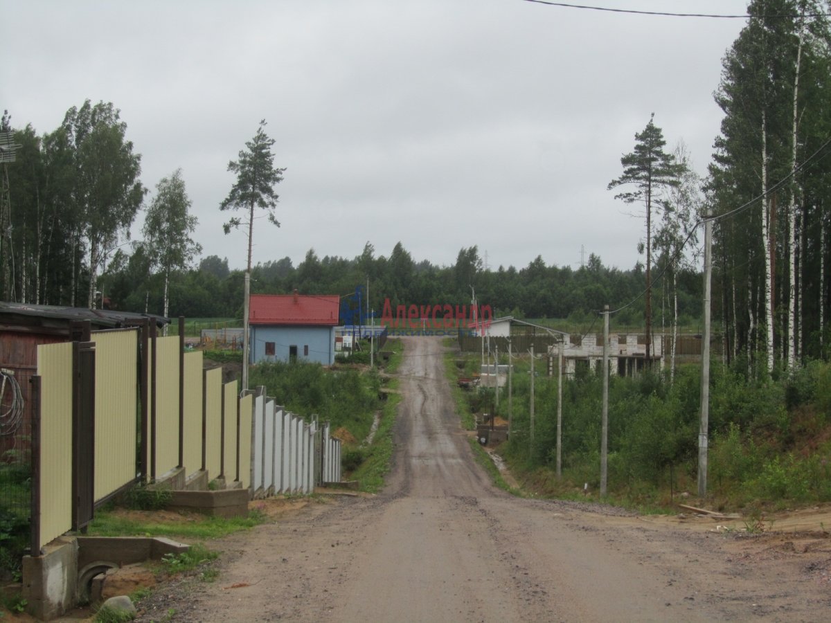 ресторан белое солнце в агалатово