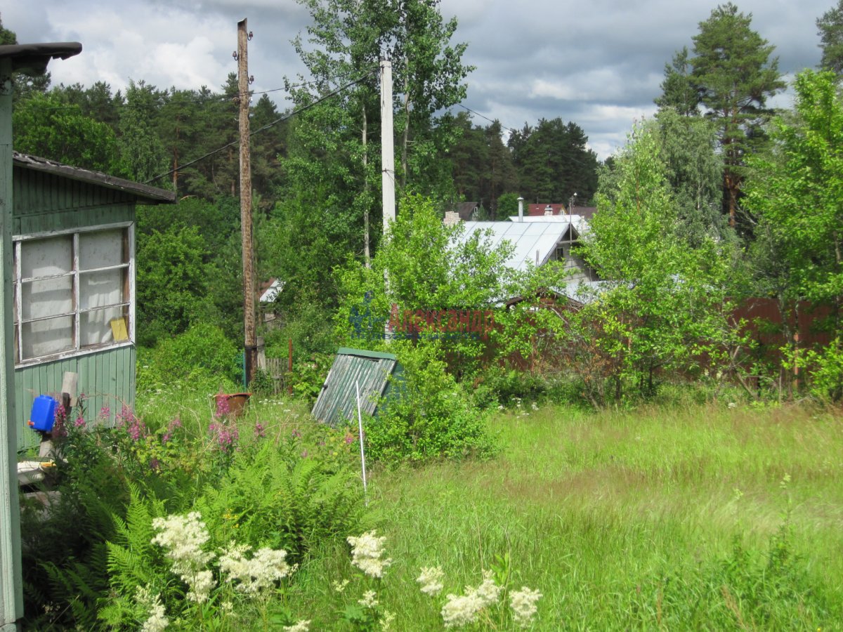 Купить Загородный дом 40 кв.м с участком 4.95 сот. в Всеволожский район  Ленинградская область (№141711)