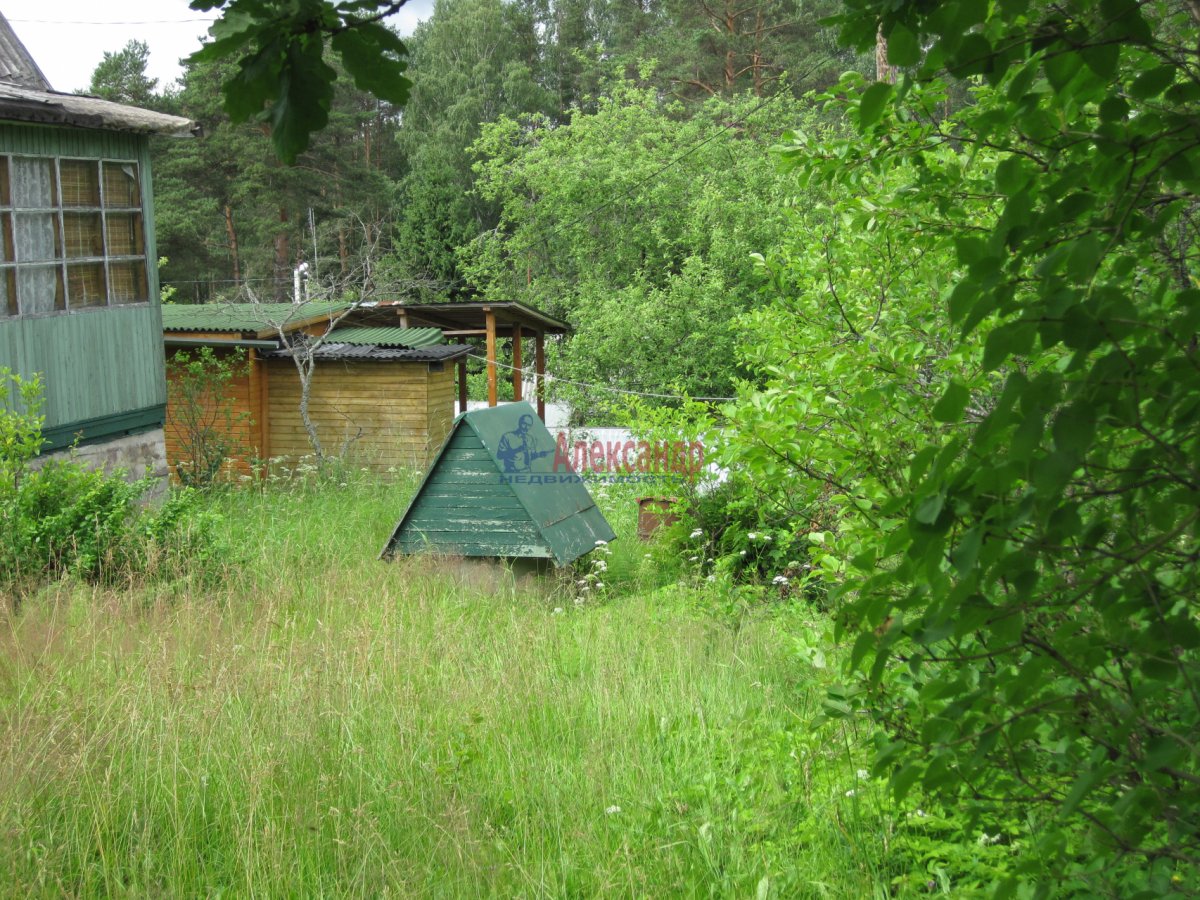 Купить Загородный дом 40 кв.м с участком 4.95 сот. в Всеволожский район  Ленинградская область (№141711)