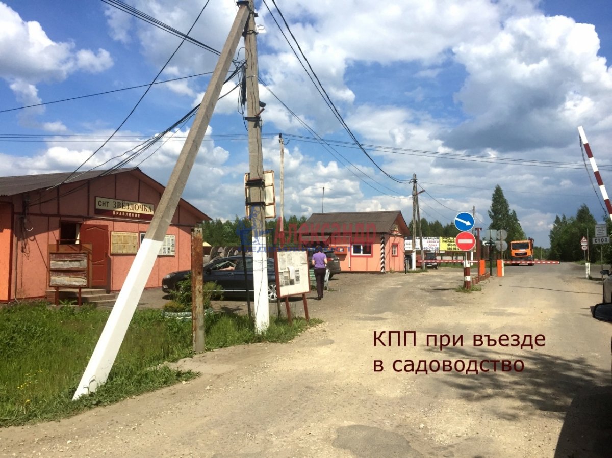 Рп5 павловск алтайский край на 10. Садоводство Звездочка Павловск. Садоводство дизель. Картинка СНТ Звездочка.