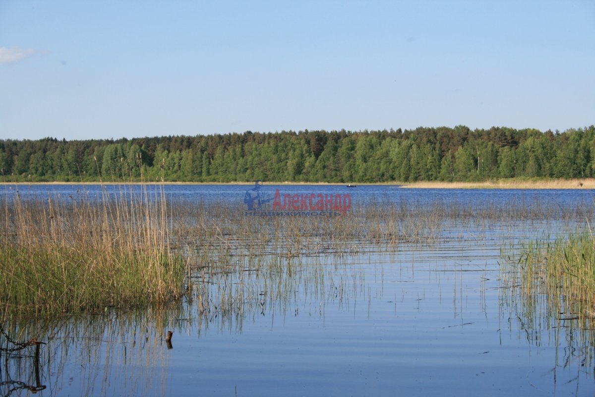 Деревня ольховка. Деревня Ольховка Приозерский район. Ольховка Ленинградская область. Поселок Ольховка Ленинградская область. Деревня Ольховка Карелия.