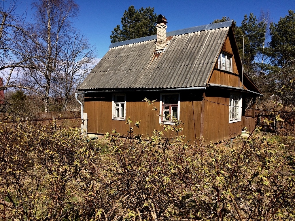 Снт дубки фото