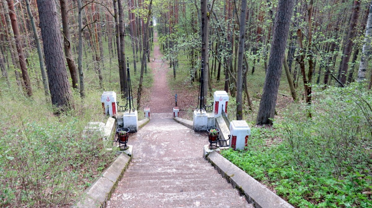 Карта поселка песочный ленинградская область