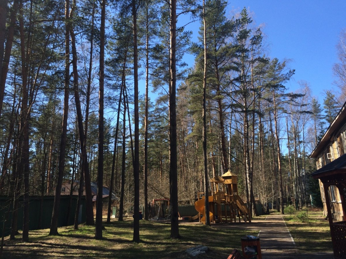 санкт петербург комарово