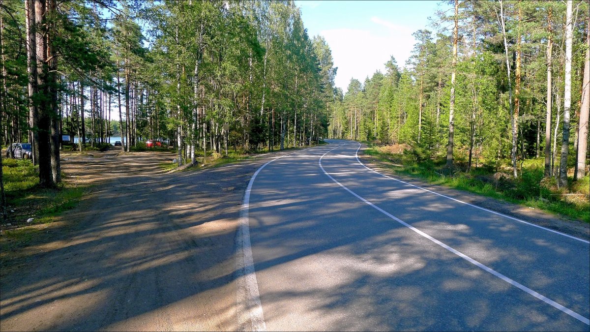 Поселок роща. Зеленая роща Зеленогорск. Зеленая роща Зеленогорск пляж. Поселок зеленая роща СПБ.