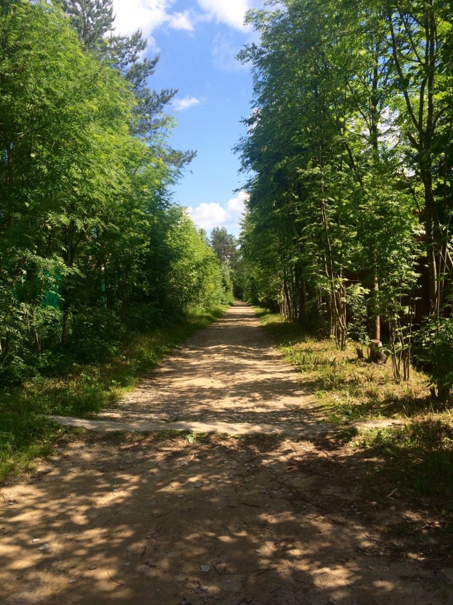 Купить Загородный дом с участком 6 сот. в Кировский район Ленинградская  область (№193027)