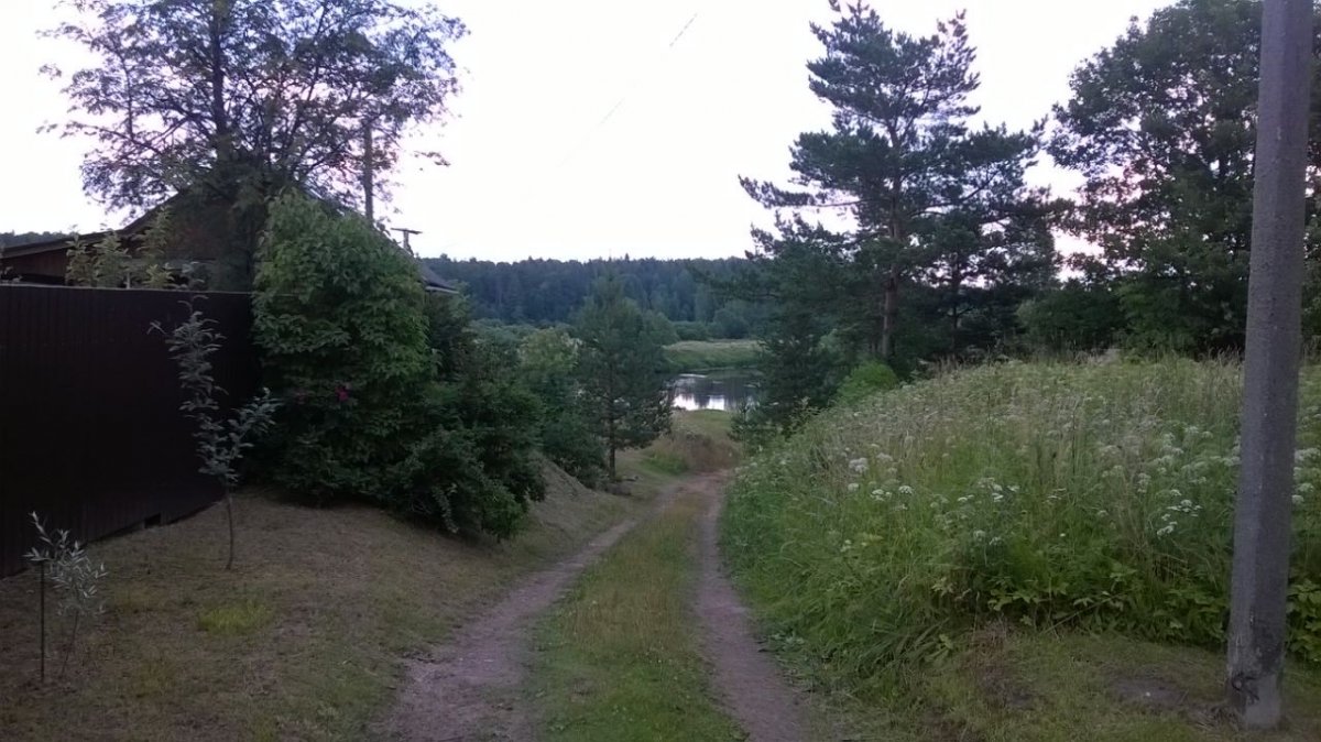 Земельные участки бор. Деревня Бор Лужский район. Деревня Бор в Лужской области. Деревня Бори в Лужском районе. Боры в Лужском районе Ленинградской области.