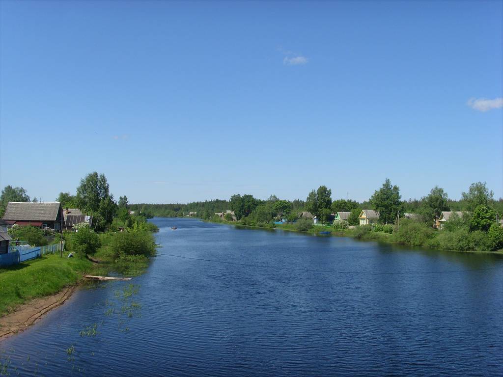 Купить Загородный дом 48.5 кв.м с участком 9 сот. в Чудовский район  Новгородская область (№152065)