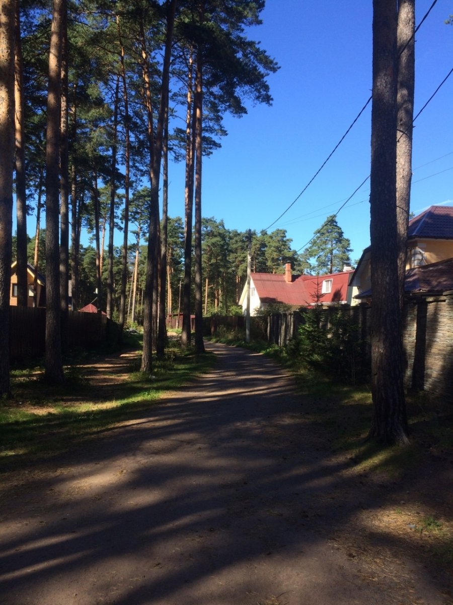 Лебяжье ломоносовский район фото