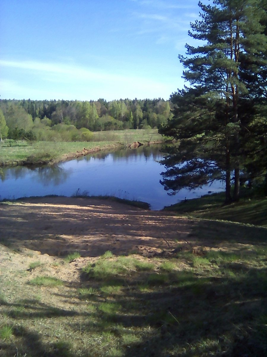 Озеро в Шалово Лужский район