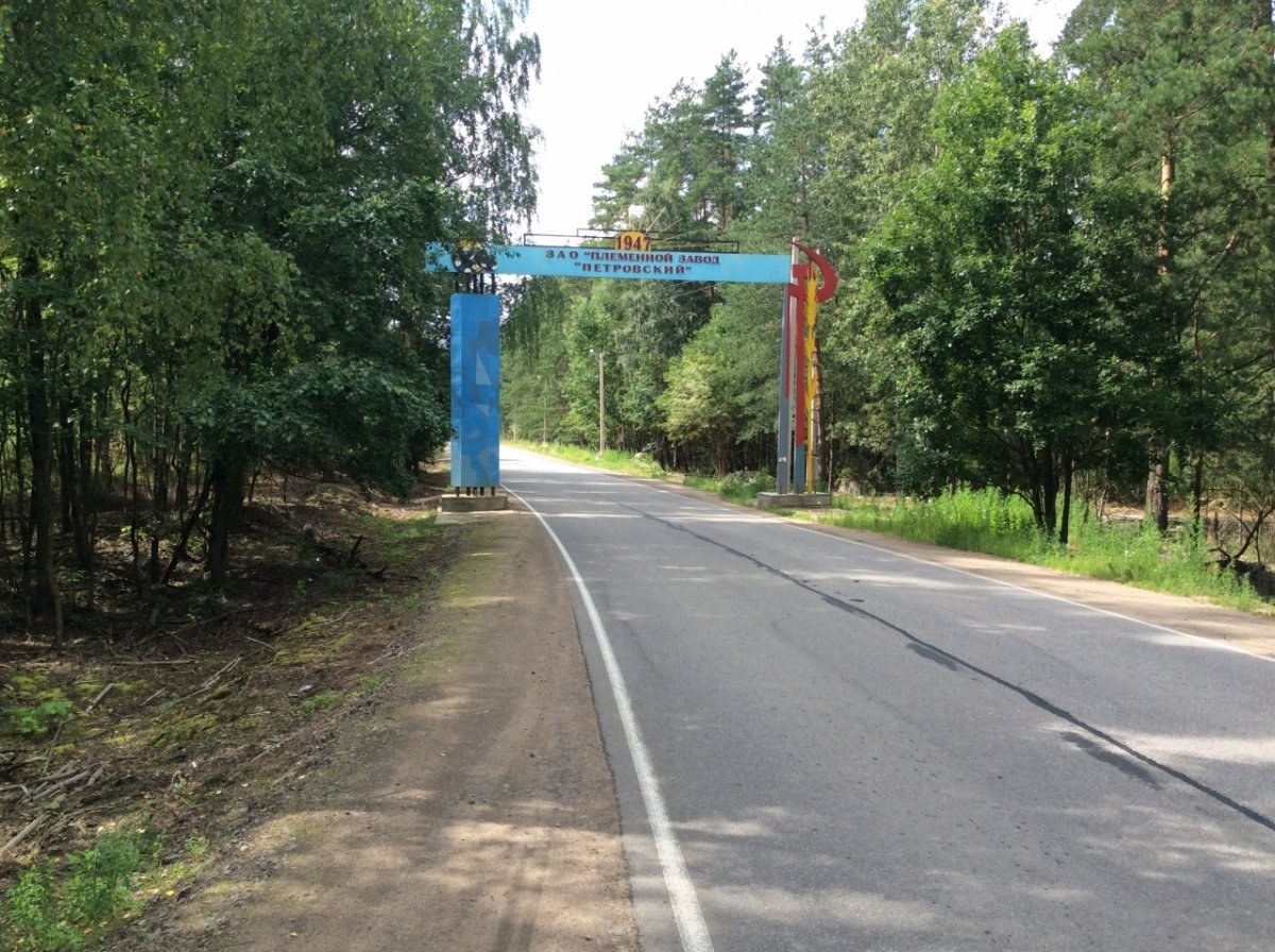 Петровское ленинградская область. Пос Петровское Приозерский район. Посёлок Петровское Ленинградская область Приозерский район. Петровское поселение Приозерского района. Ленинградская область, Приозерский район, поселок Петровского.