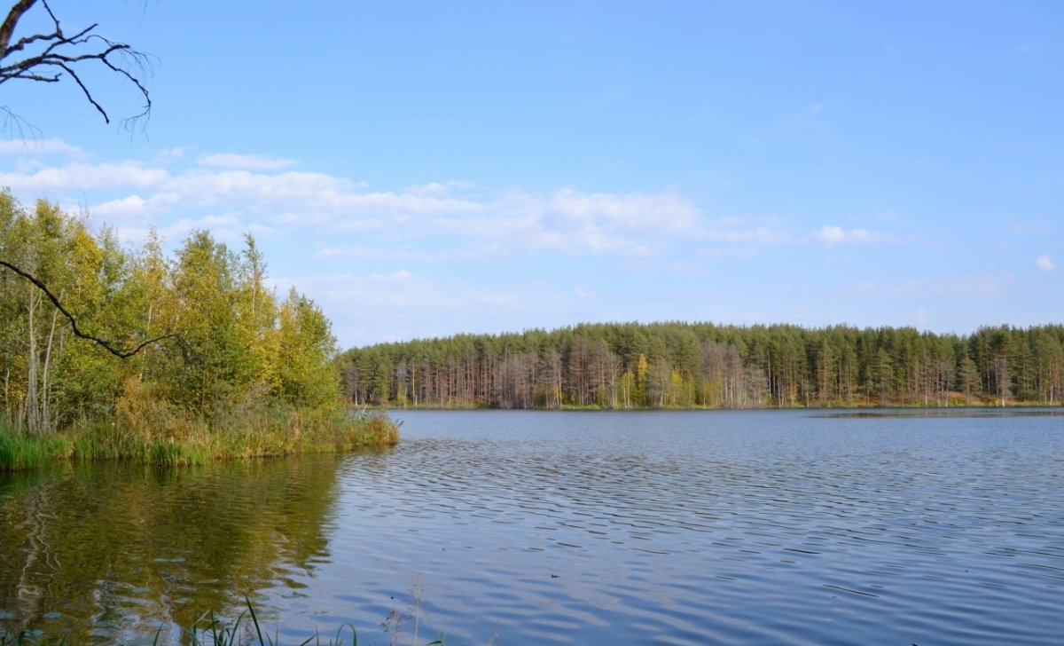 Стеклянный поселок в лен обл карта