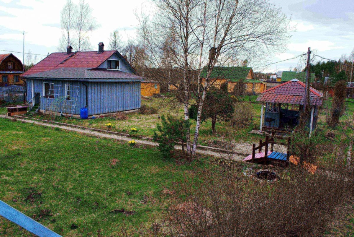 Деревня волынь новгородская область фото