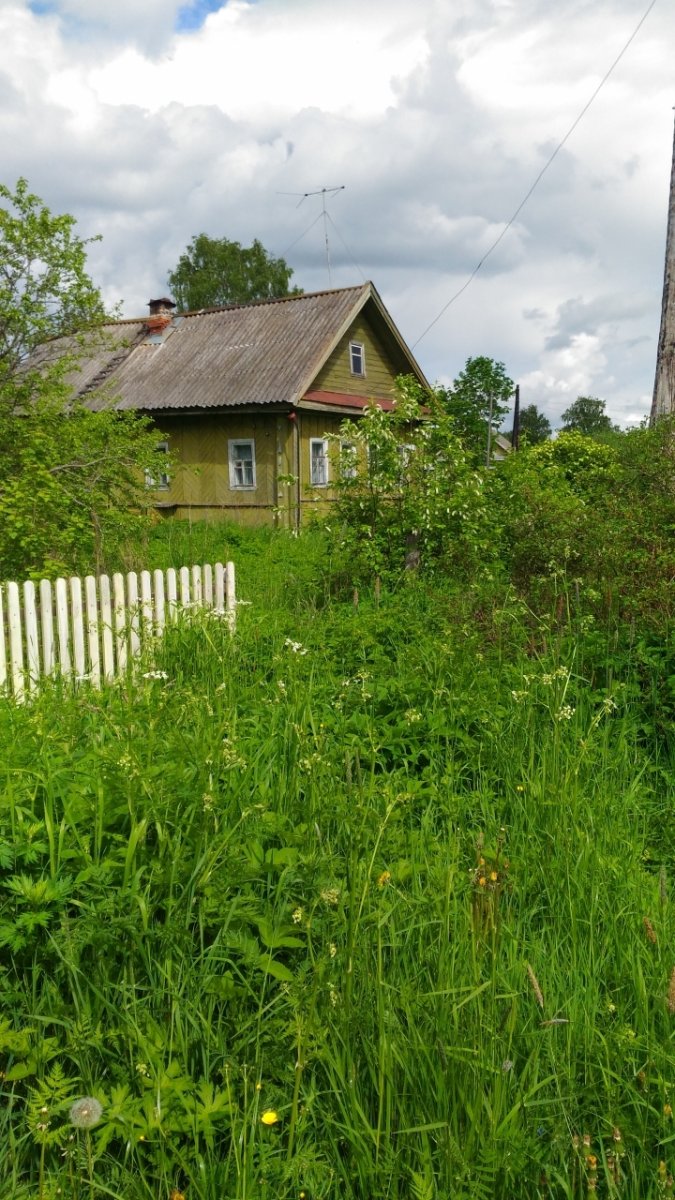 Купить Загородный дом 48.5 кв.м с участком 9 сот. в Чудовский район  Новгородская область (№152065)