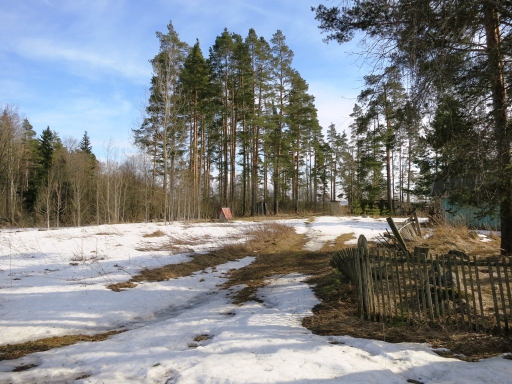 Плодовое Ленинградская область.