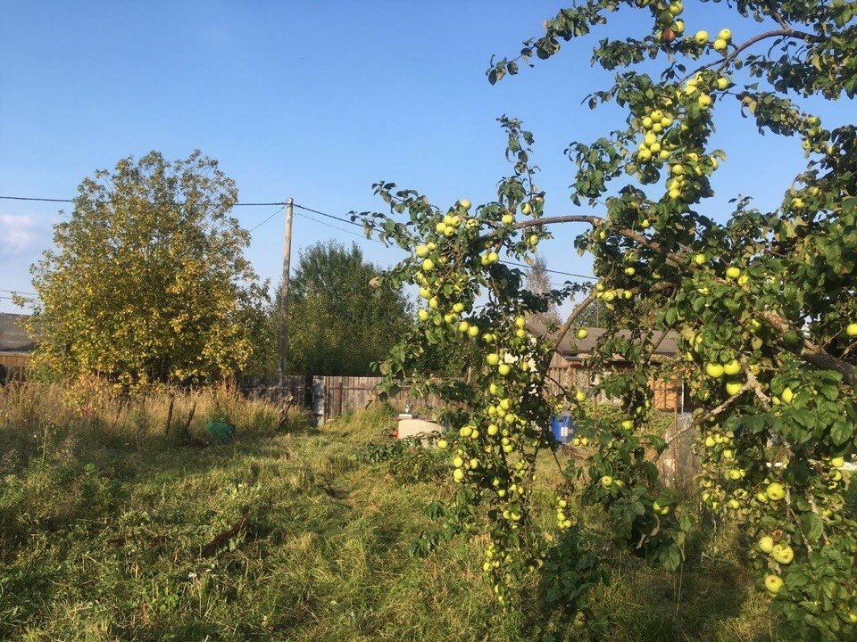 Купить Участок В Снт Всеволожский Район