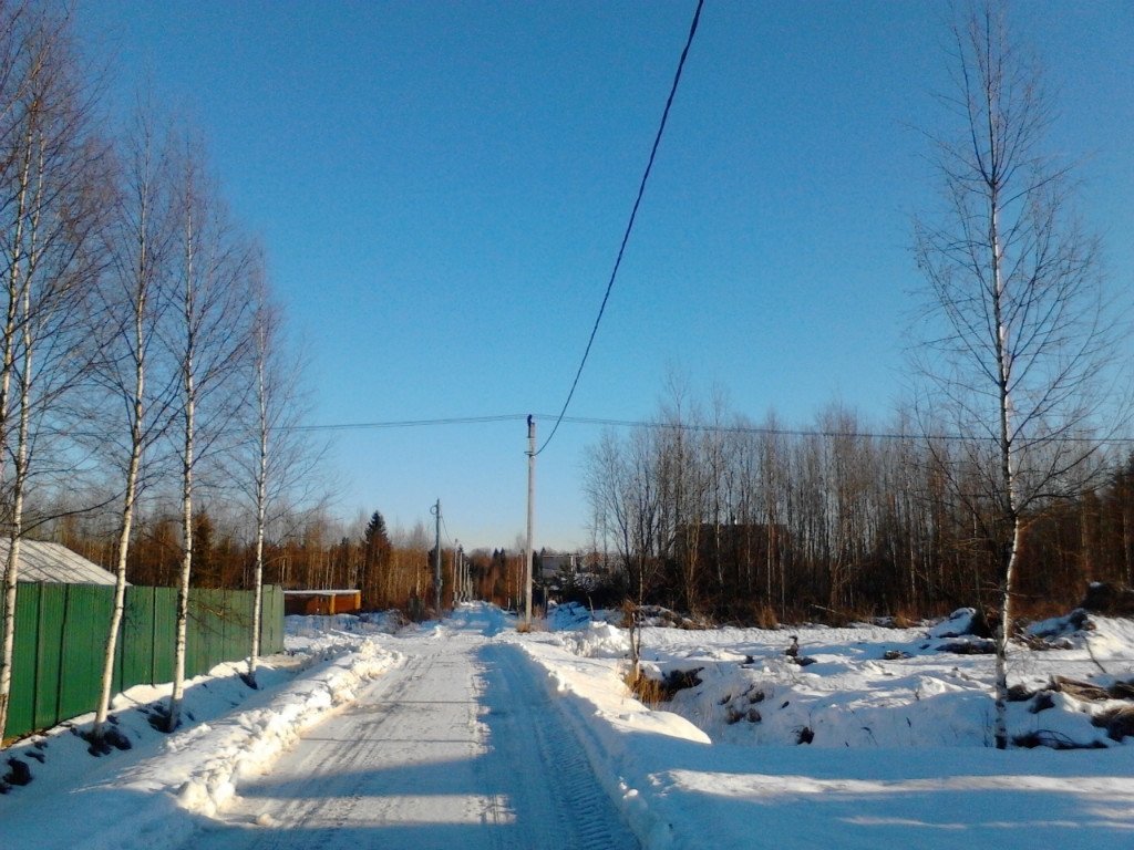 Купить Загородный дом 43 кв.м с участком 10 сот. в Тосненский район  Ленинградская область (№202730)