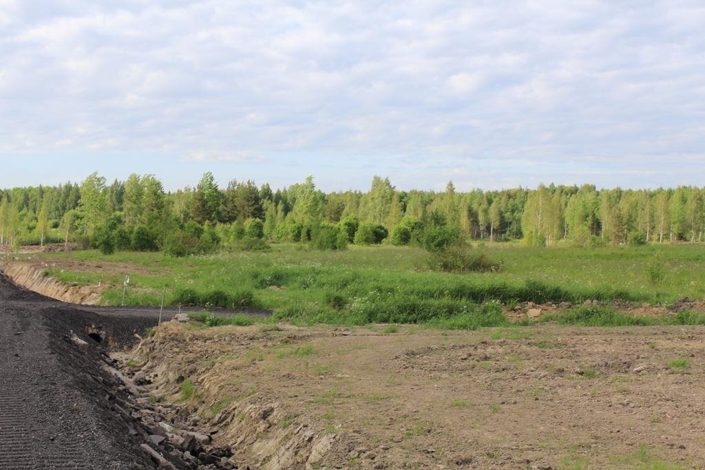 Погода низино ломоносовский. Низино Ломоносовский район. Лучезарная Долина Низино. Участок в Низино. Школа в Ленинградской области Ломоносовский район деревня Низино.