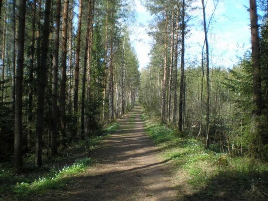 Карта дивенская лужский район