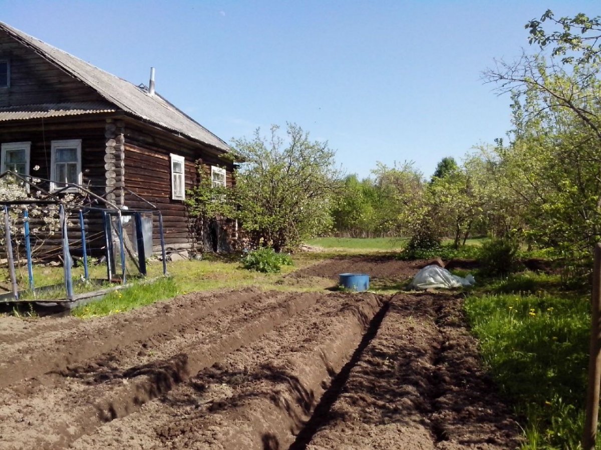 Авито парфино. Пола Новгородская область Парфинский район. Недвижимость Парфинский район поселок пола. Недвижимость в Борках Новгородский район. База отдыха Парфино.