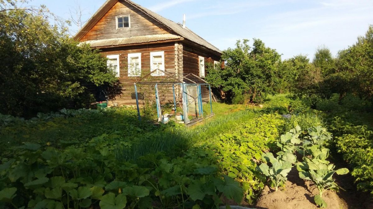 Поселок полой. Посёлок пола Новгородская область. Пос пола Парфинского р-на Новгородской обл. Пола Парфинский район. Деревня Росино Парфинский район.