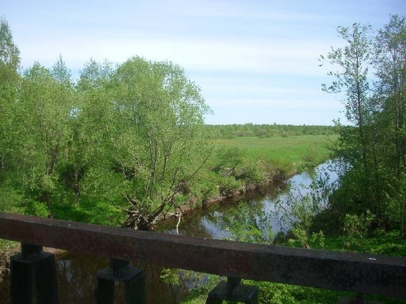 Коваши Ломоносовский Район Купить Участок