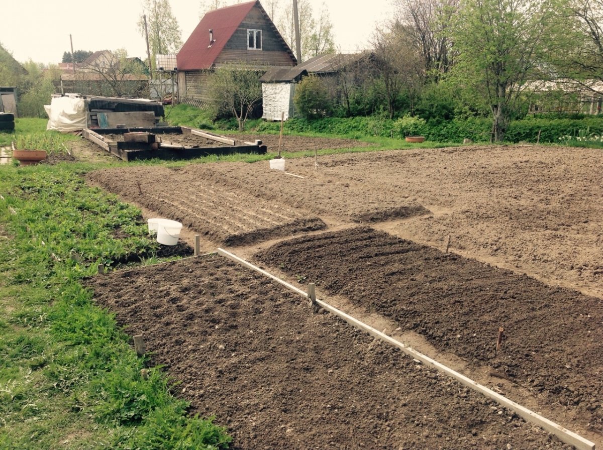 Купить Участок В Дранишниках Ленинградской Области Ижс