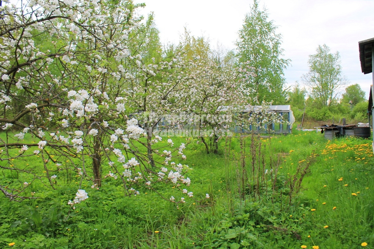 Тосненский р н ульяновка